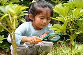 kairos international school